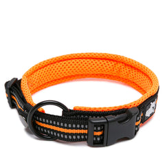 Truelove Dog Training Collar TLC5011 Reflective Premium Buckle Nylon Webbing Pet Dog Collars,High Grade Nylon Webbing No Choke Basic Collars Now Available (3XL, Orange)