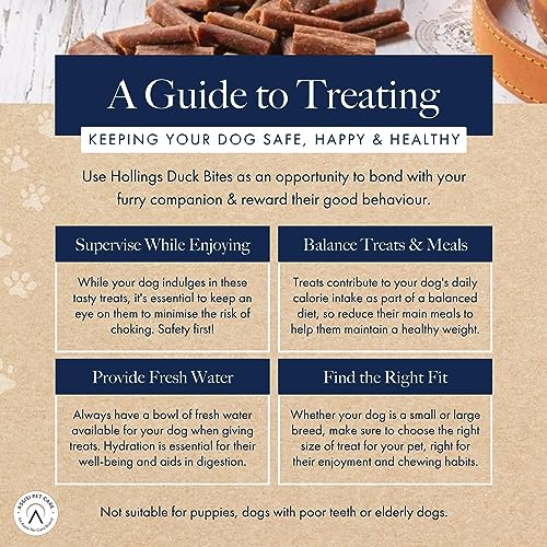 Hollings Duck Bites Dog Training Treats, Delicious Duck Treats for Adult Dogs, High in Protein & Made with 100% Natural Ingredients (75g)