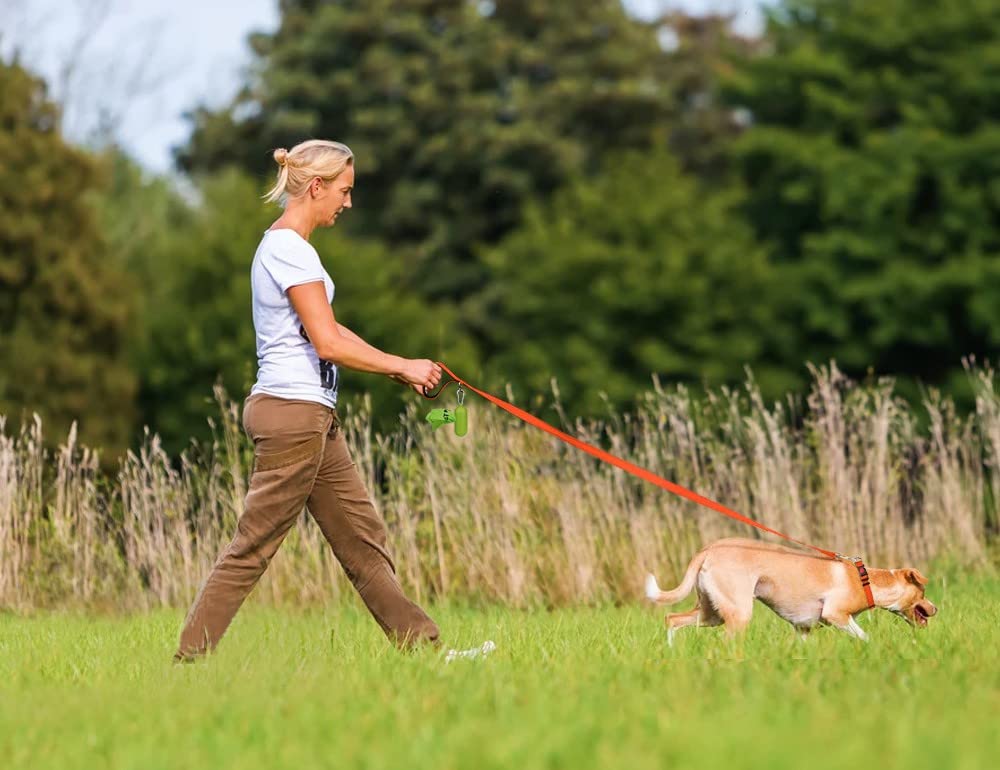 Taglory Dog Leads for Medium Large Dogs   Double Sided Reflective   Soft Neoprene Padded Handle   2.5 cm Wide by 120 cm Long   Orange