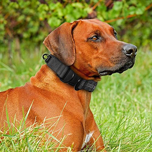 Beshine Adjustable Dog Collar, Reflective Nylon Neoprene with Separate ID Ring and Double D Ring, Durable and Comfortable Puppy Collar for Large Dogs(L, Black)