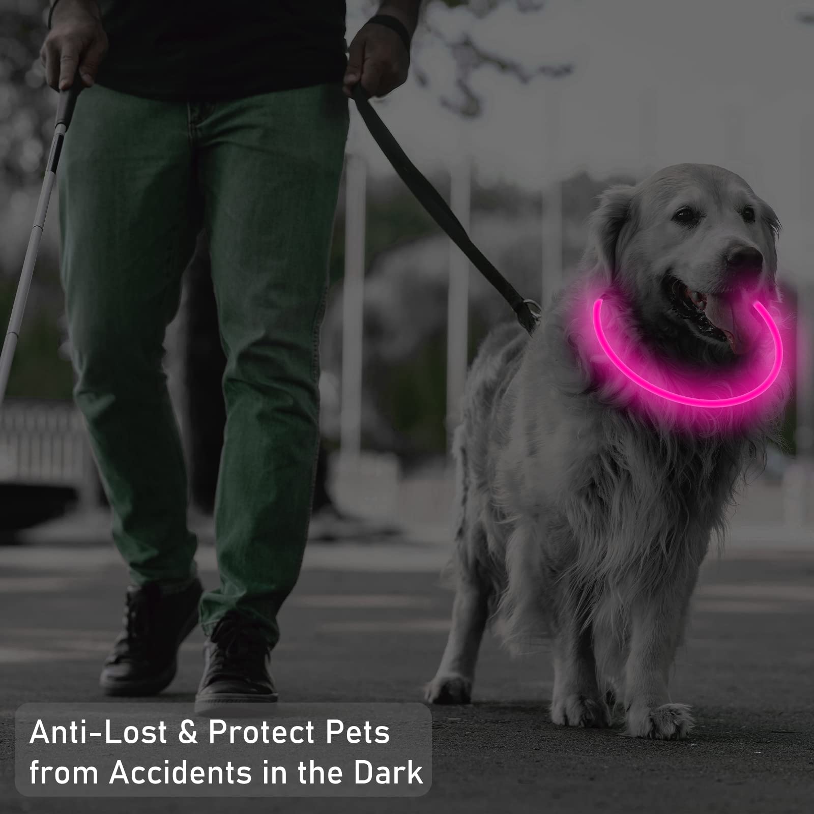 SONNIG LED Light Up Dog Collar USB Rechargeable, Adjustable and Waterproof Luminous Dog Collar with 3 Light Modes, Safe to Small, Medium and Large Dogs for the Dark, Pink