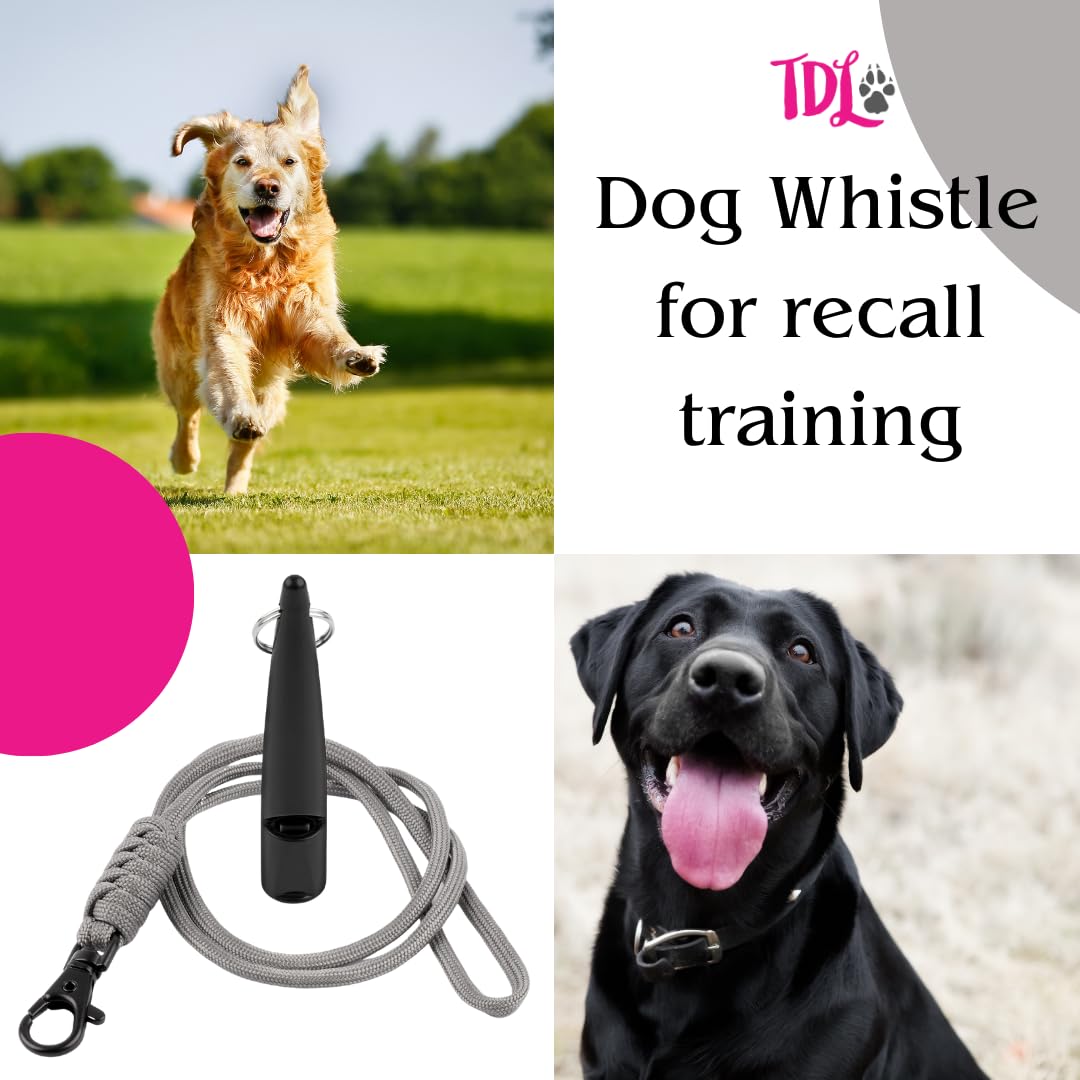 TDL Gun Dog Training Whistle with Lanyard - Dog Whistle with Loud, Solid Tone & Far Reaching Sound - Ideal High-Frequency Long-Distance Dog Recall Whistle for Most Breeds - Black with Grey Rope