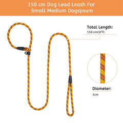 Zhichengbosi 2 PACK Adjustable Dog Leash Nylon Training Lead Leash Durable, Soft Leash For Dogs 10-80 lbs (blueandyellow)