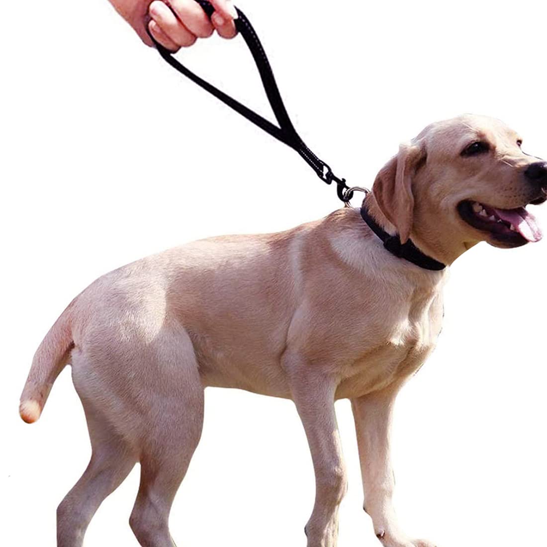 Short Dog Lead Training Dog leashes 13 inch Black