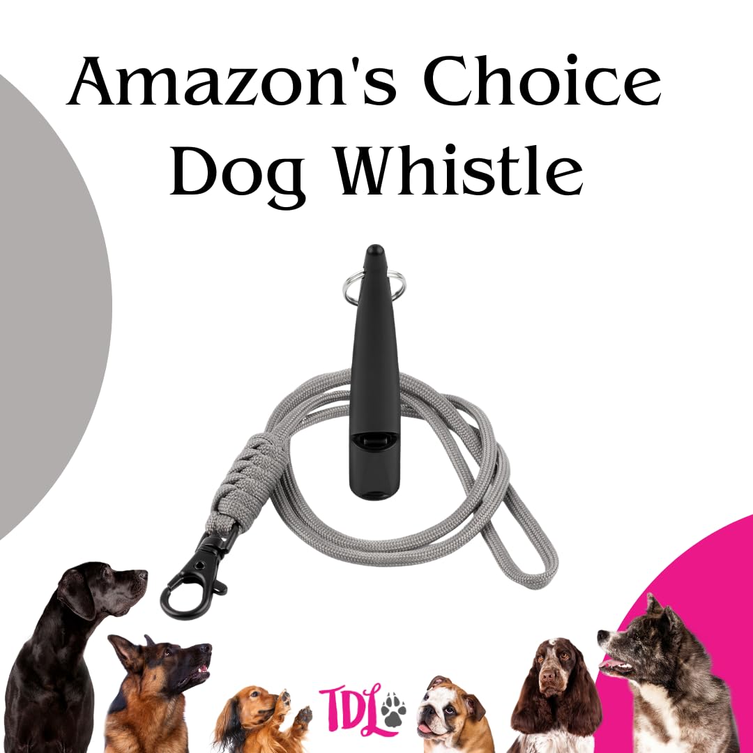 TDL Gun Dog Training Whistle with Lanyard - Dog Whistle with Loud, Solid Tone & Far Reaching Sound - Ideal High-Frequency Long-Distance Dog Recall Whistle for Most Breeds - Black with Grey Rope