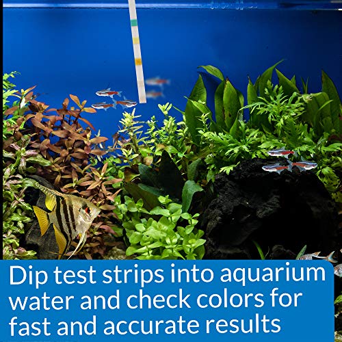 API 5-IN-1 TEST STRIPS Freshwater and Saltwater Aquarium Test Strips 4-Count Box