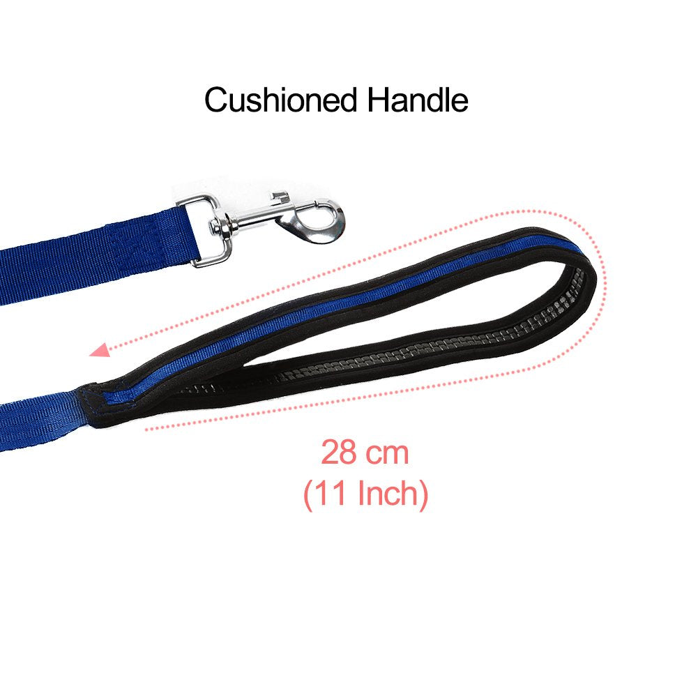 Vivifying Dog Training Lead Leash, 20m/65ft Long Nylon Training Dog Leash for Pet Tracking Training Obedience Lead Leash (Blue)