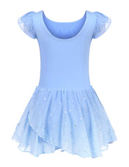 trudge Girls Ballet Dress Ruffle Sleeve Ballet Outfit Ballet Leotard Costume Dancewear with Chiffon Skirt Blue /120