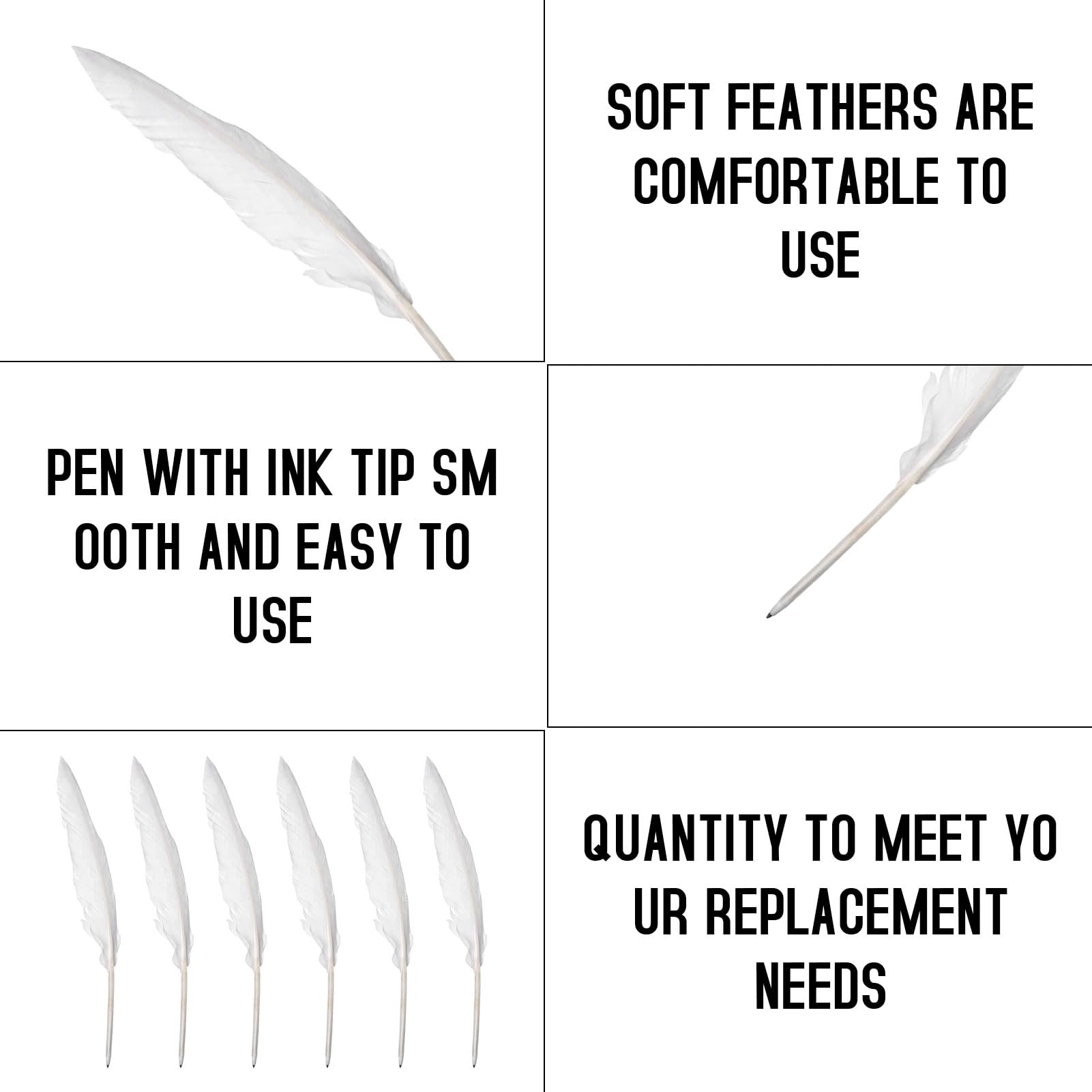 6PCS Ball Point Feather Pens Elegant and Retro Feather Pen Goose Feather and Plastic Quill Pen School Office Birthday Party