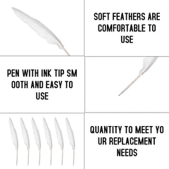 6PCS Ball Point Feather Pens Elegant and Retro Feather Pen Goose Feather and Plastic Quill Pen School Office Birthday Party