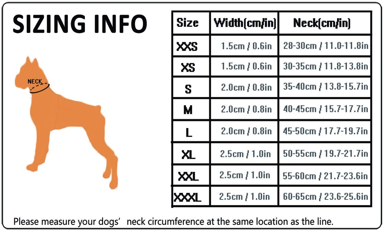 Truelove Dog Training Collar TLC5011 Reflective Premium Buckle Nylon Webbing Pet Dog Collars,High Grade Nylon Webbing No Choke Basic Collars Now Available (3XL, Orange)