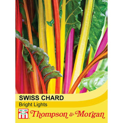 Swiss Chard 'Bright Lights' Seeds Hardy Annual Biennial Autumn Salad Vegetable Plant Garden Allotment Grow Your Own Mixed Colours 1 Packet of 80 Seeds by Thompson and Morgan