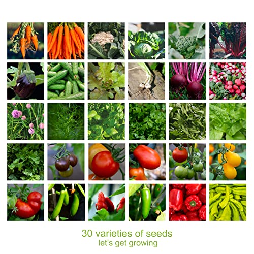 Scott&Co. Vegetable Seed Variety Pack - 30 Different Varieties of Veg, Herb and Tomato Seeds to Grow Your Own. Easy to Grow Indoor, Outdoor. Gardening Gifts for Women and Men