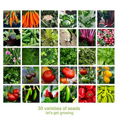 Scott&Co. Vegetable Seed Variety Pack - 30 Different Varieties of Veg, Herb and Tomato Seeds to Grow Your Own. Easy to Grow Indoor, Outdoor. Gardening Gifts for Women and Men