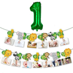 1st Birthday Baby Photo Banner for Newborn to 12 months, Monthly Milestone Photograph Bunting Garland, First Birthday Celebration Decoration with A NO. 1 Balloon