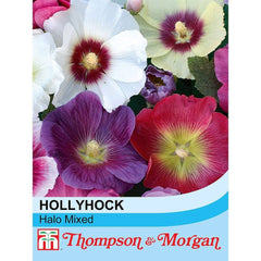 Hollyhock Halo Mixed Hardy Perennial Garden Flowering Easy to Grow Your Own Seeds (25 Seeds) by Thompson and Morgan