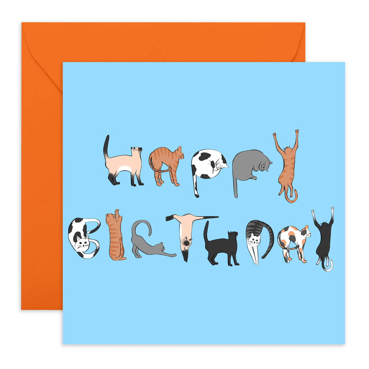 Central 23 - Birthday Card for Women - Funny Birthday Cards - Cat Greeting Card - For Wife Husband - Him Her - Male Female - Mum Dad - Comes with Stickers