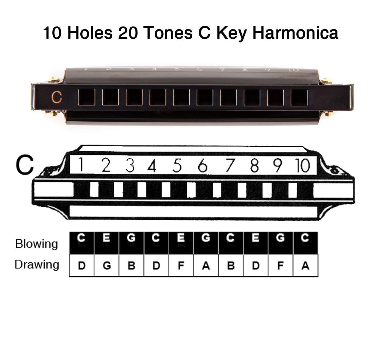 EastRock Harmonica 10 Holes 20 Tunes, Harmonica Key of C, Harmonica Mouth Organ for Beginner Adults Kids, Mini Blues Harmonica with Case and Cleaning Cloth (10 Holes, Glod)