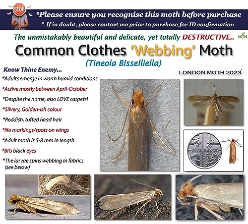 LONDON MOTH KILLER-10 Premium Pheromone Moth killers for the Common Clothes Moth, Sticky Moth Trap Repellent for Wardrobes, clothes and other fabrics, Anti Moth Treatment for the Home, Inc. eBook.