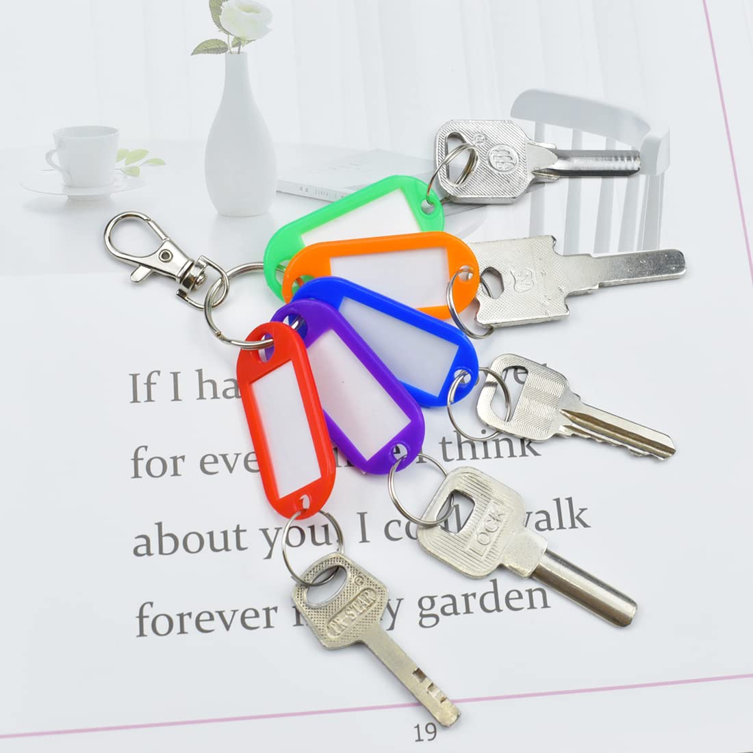 Key Tags with Split Ring 20 PCS Key Fobs Labels ID Keyring Tags for Luggage Pet Name Memory Stick Tags, 10 Colors