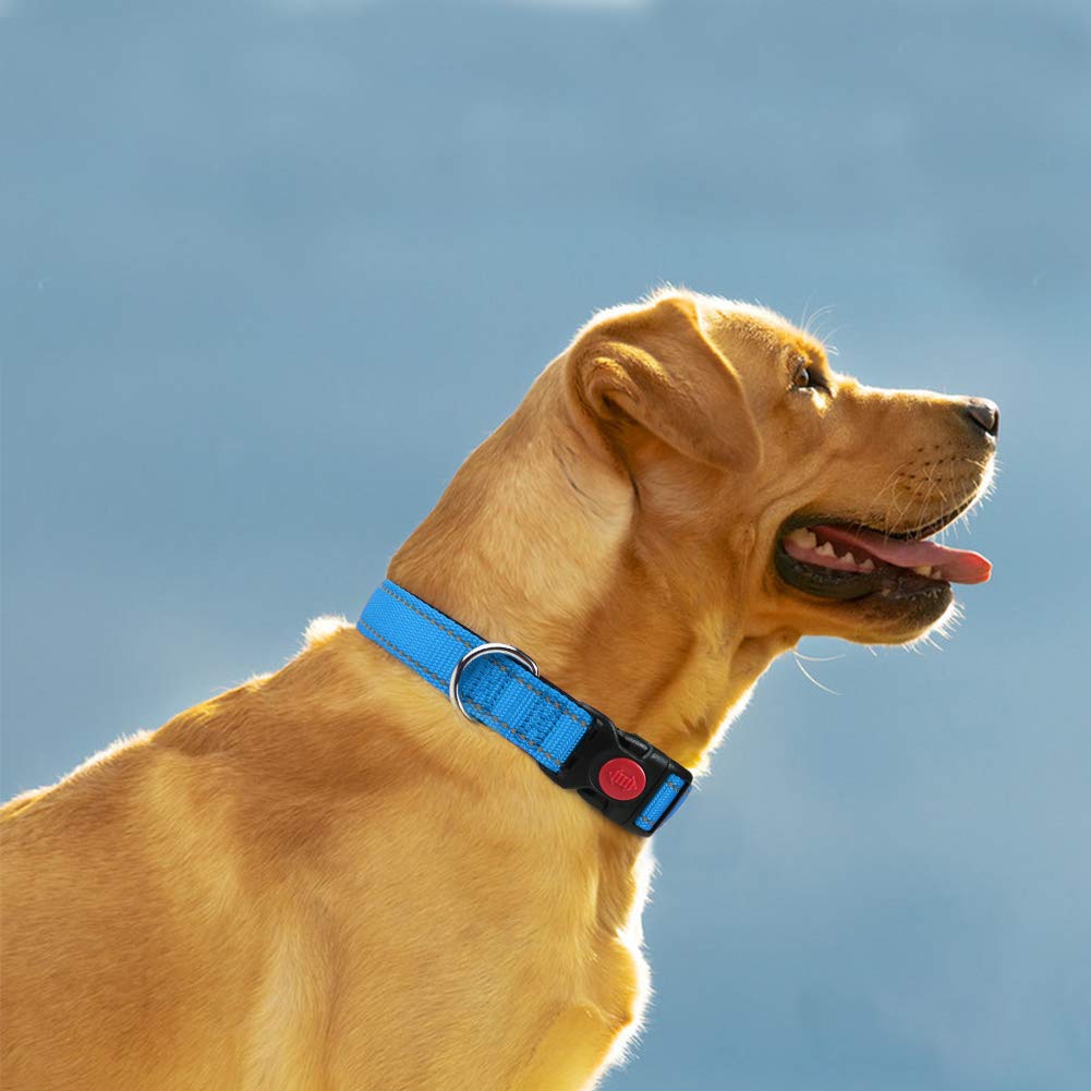 Taglory Reflective Nylon Dog Collar with Safety Buckle, Adjustable Pet Collars with Soft Neoprene Padding for Medium Dogs, Sky Blue