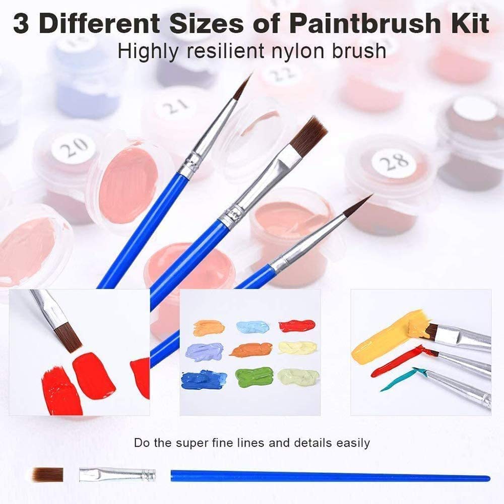 Painting by Number Kits for Adult, DIY Canvas Oil Painting Kit for Kids or Beginner with Paint brushes Acrylic Pigment Drawing Paintwork 16x20inch Without Frame (Sea view)