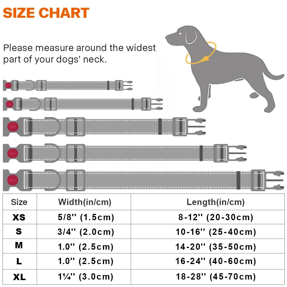 Taglory Reflective Nylon Dog Collar with Safety Buckle, Adjustable Pet Collars with Soft Neoprene Padding for Small Dogs, Green