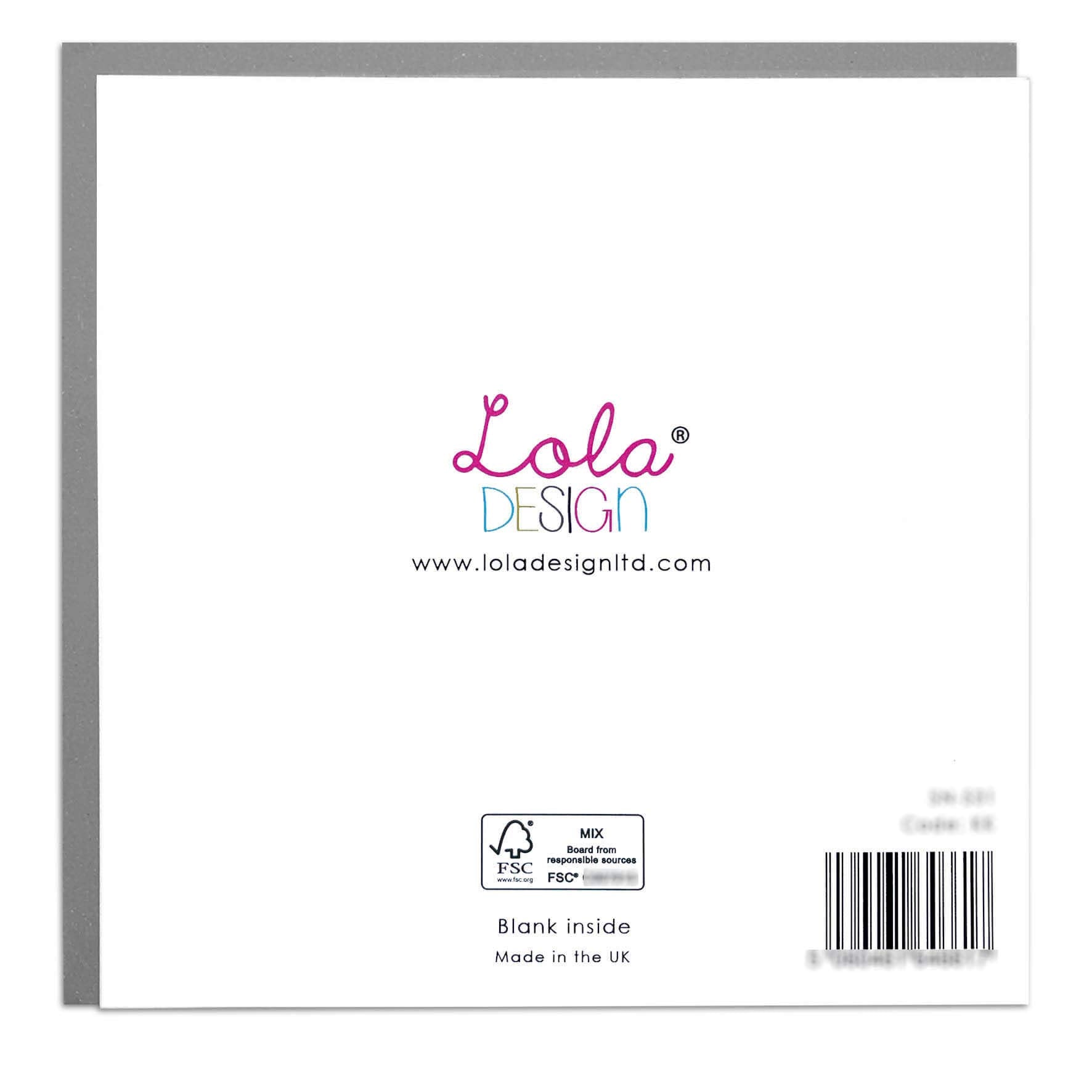 Lola Design - Wildlife Botanical Greeting Cards - Blank Cards and Envelopes - Hedgehog Animal Card