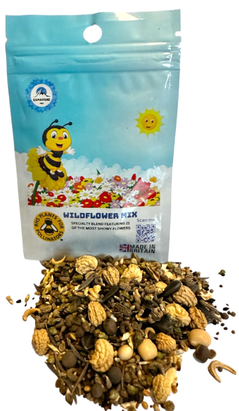 Wildflower Seed Mix - Premium Annual and Perennial Blend - Perfect for Gardens, Meadows, and Bouquets - Non-GMO and Pesticide-Free, No Grass, no Filler- Butterfly Party 10g