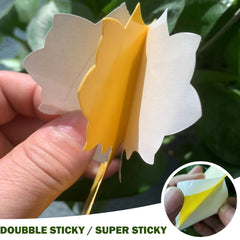 Fruit Fly Trap, 40 Pack Fruit Fly Killer Yellow Sticky Bug Insect Killer Double-sided Insect Catcher Sticky Bug Sticky Fruit Fly Killer for Houseplant Indoor and Outdoor