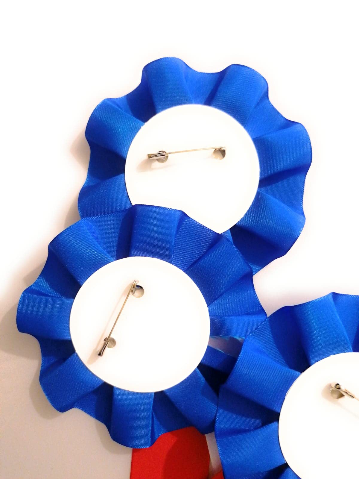 10 X Blank Rosettes In Top Quality Satin Red Blue White Rosette Pins School Prizes Sports Celebration Sport Prizes School Competitions Funerals Birthdays Occasions School Awards Sporting Awards Pin