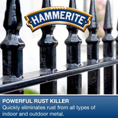 Hammerite Kurust Rust Remover for Metal. Rust Treatment and Rust Converter for Metal Interior and Exterior to Remove Brown Spots - 90ml