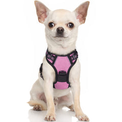 rabbitgoo Dog Harness Small Dog No Pull Pet Harness with 2 Leash Clips, Adjustable Soft Padded Pet Vest Harness, Reflective No-Choke with Easy Control Handle for Training or Walking, Pink, XS