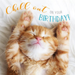 Abacus Cards CAT ''Chill Out'' Birthday Card Photographic Rapture Range, 159cm x 159cm / 6.25 x 6.25 Inches