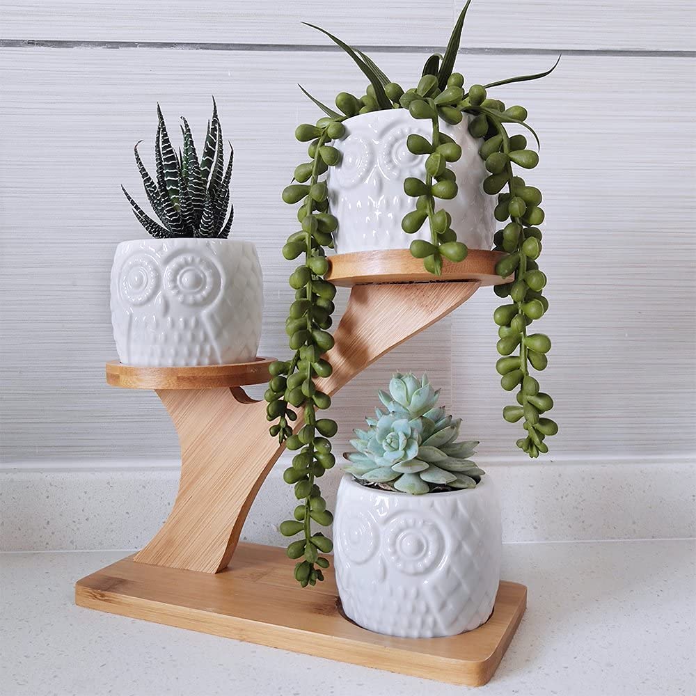 KPUY Owl Succulent Pots 3 Pcs with 3 Tier Bamboo Saucers Stand Holder, White Owl Succulent Plant Pots with Drainage and Bamboo Stand, Great for Office and Home Decor, Ideal for Gift.