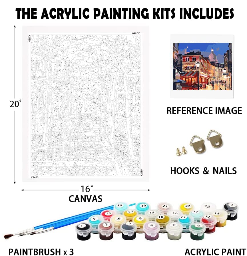 Paint by Numbers for Adults Beginner,French Street Paint by Number for Adults,Landscape Paint by Numbers Street Scenery,Sacre Coeur Paint by Number City Night View 16 x 20 Inch Without Frame