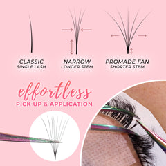 LLBA LashFolio Narrow Promade Fans   Handmade Volume Eyelashes   Multi Selections 5D~10D   C CC D Curl   Thickness 0.03~0.07mm   8-15mm Length   Long Lasting & Easy Application (5D-0.07 D 8mm-15mm)