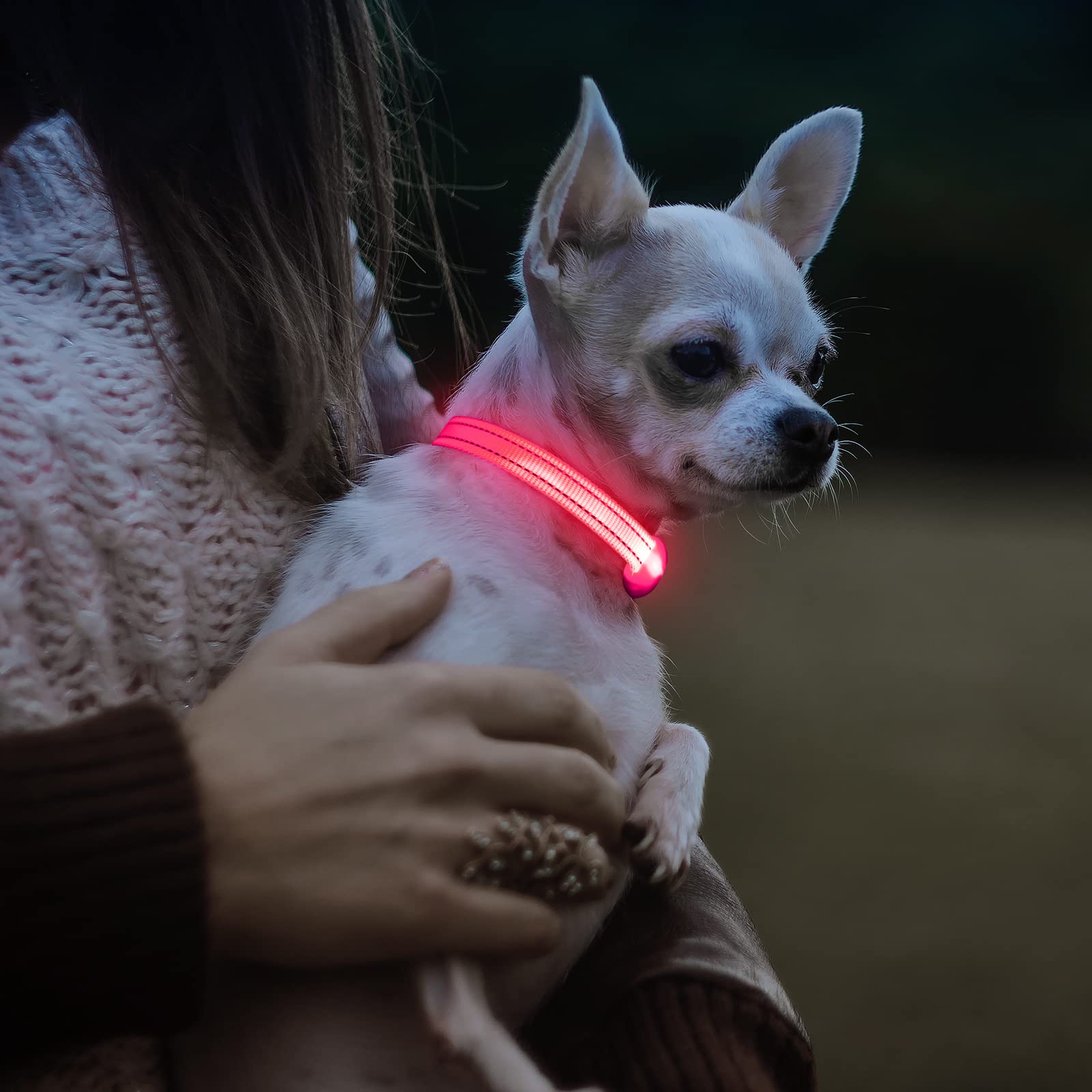 Visinite Light Up Dog Collar, Small Dog Collar Light For The Dark, Led Dog Collar Rechargeable, Night Flashing Dog Collar, Reflective Dog Led Light Collar, Dog Light Up Collar Keep Pet Safe (Pink,S)