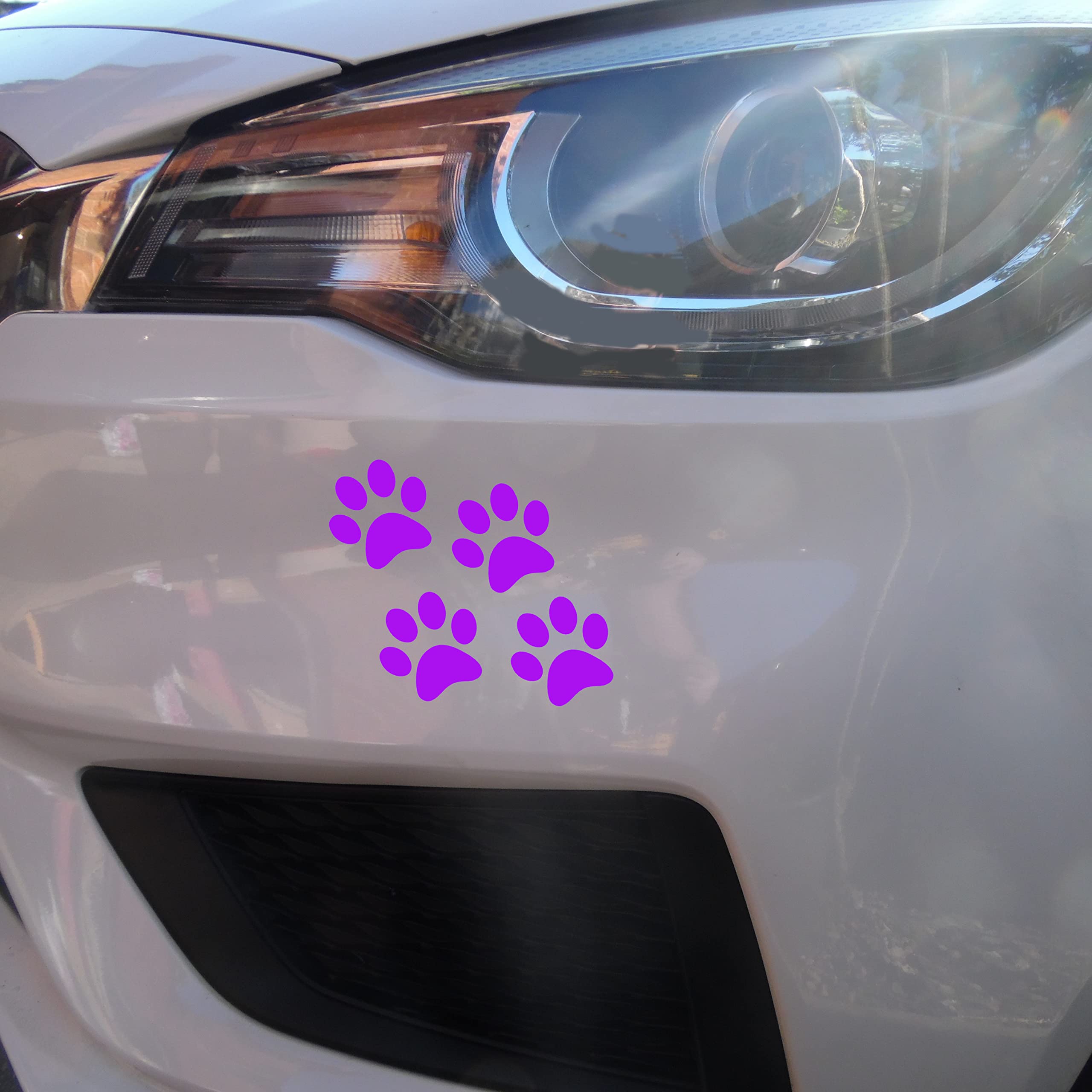 Pack of 6 Cat Dog Animal Paw Cute Stickers - Sticker Pack - Laptop Stickers - Water Bottle Stickers - Wall Decal - Gifts for Cat Lovers - Cat Gifts for Women (Purple, 4cm x 4cm)