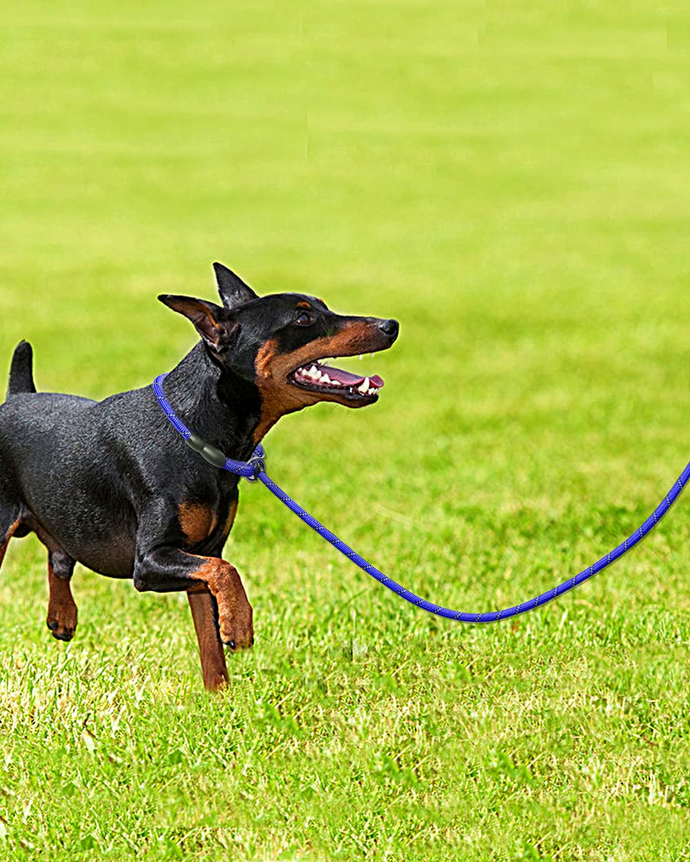 TagME Slip Rope Dog Lead for Puppy,1.8m Reflective Slip Leads with Soft Padded Handle, 12 Colors Slip-On Nylon Leash for Training/Walking, Navy Blue