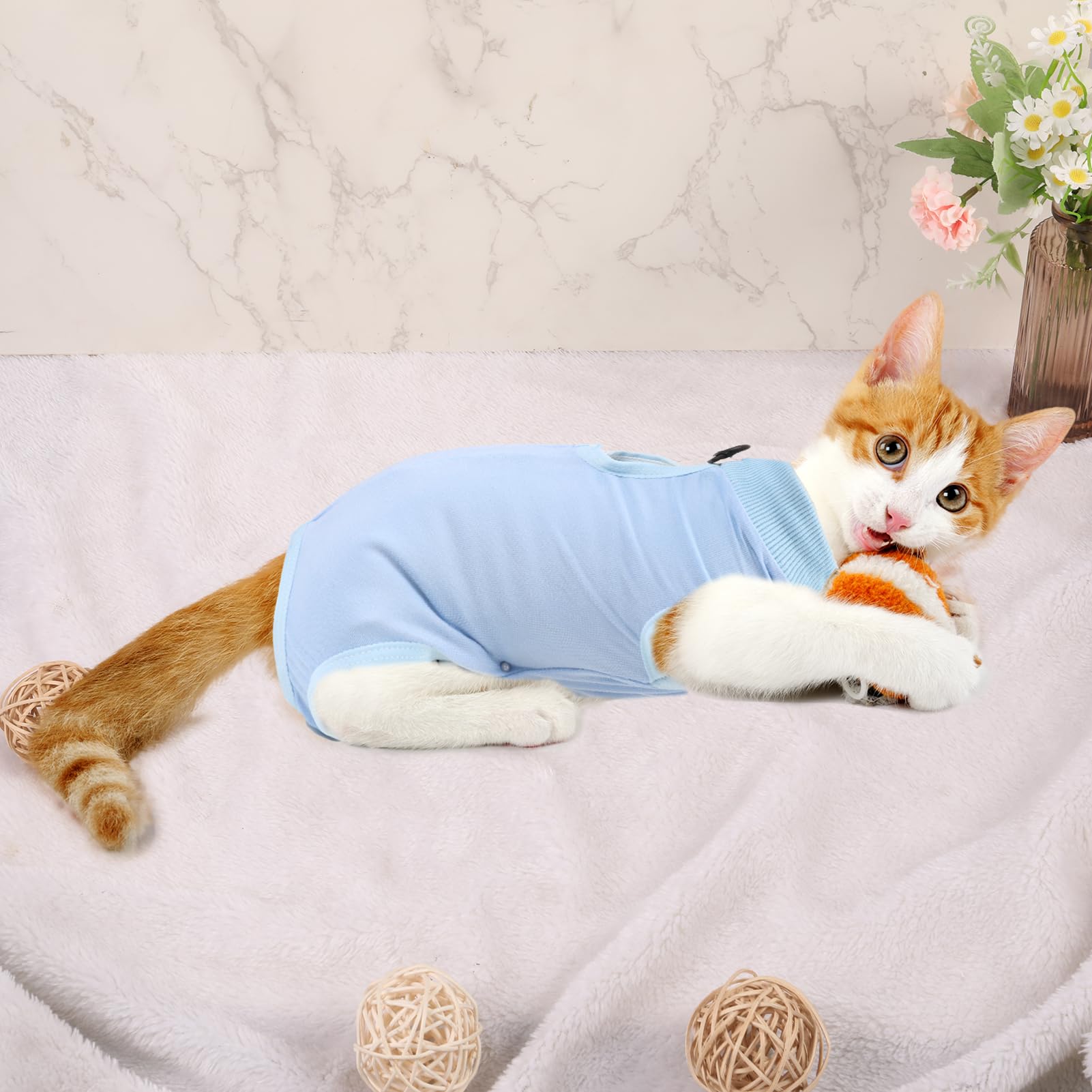 Radsocken Cat Professional Recovery Suit for Abdominal Wounds Skin Diseases, Surgery Recovery Suit E-Collar Alternative for Cats Small Dogs, Pajama Suit Anti Licking with 1 Cat Cone Collar(S)