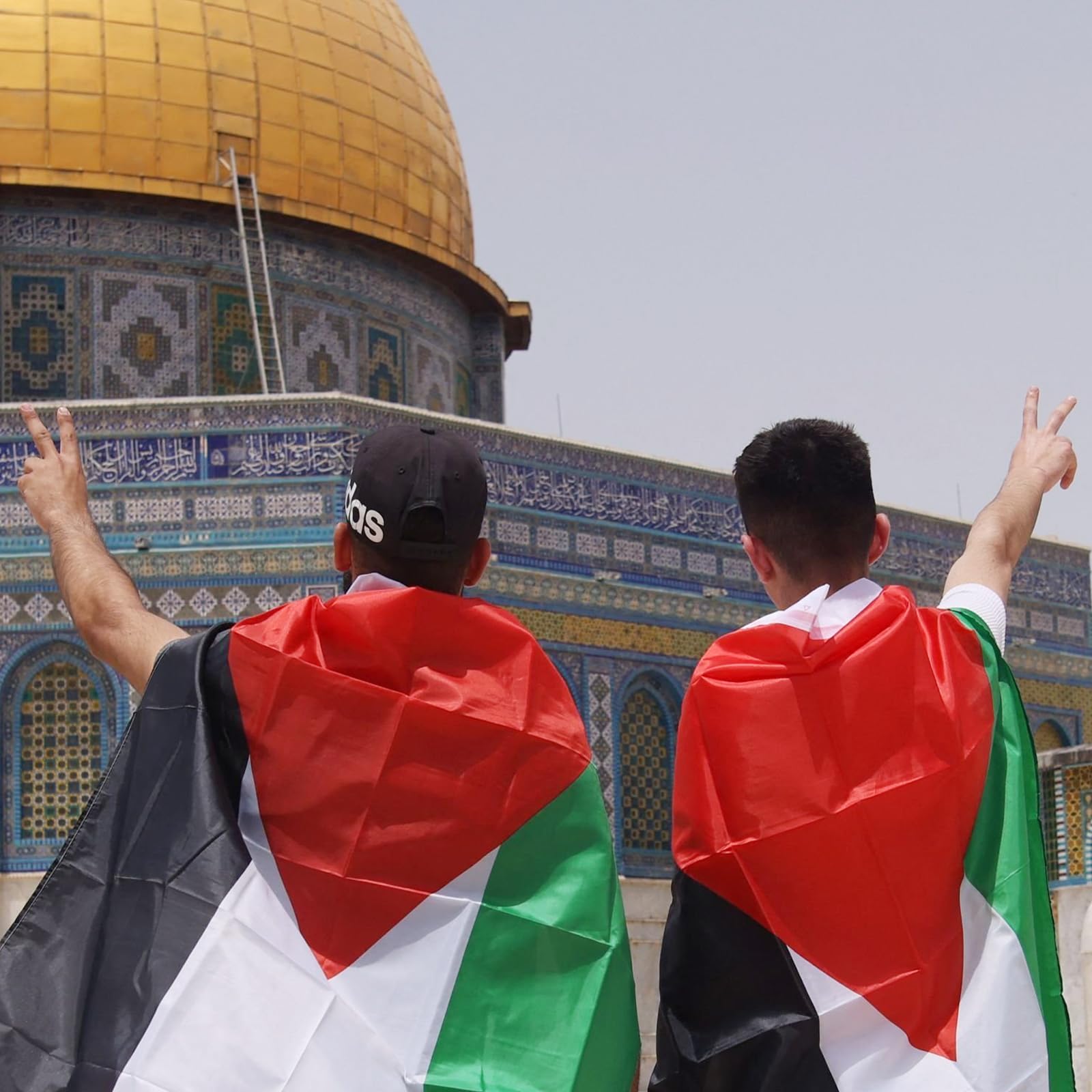 Palestine Flag 3x5 Outdoor - Black, White, Green and Red with Triangle Design Flags Hanging Country National Palestinian Flag with Brass Grommets for Independence Celebration Indoor Home Decorations