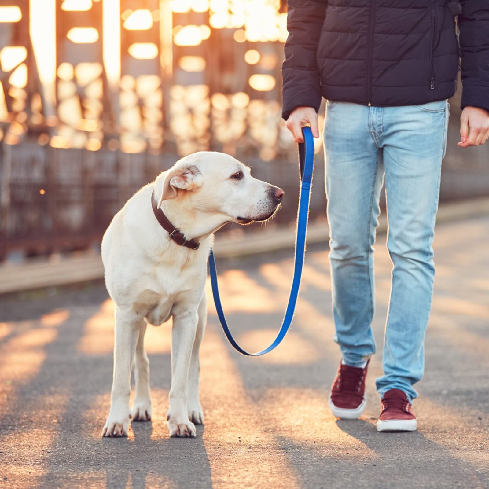 TIESOME Short Dog Leash with Padded Handle, Double Webbing Nylon Reflective Pet Leashes Pet Leash for Walking Training (Blue)