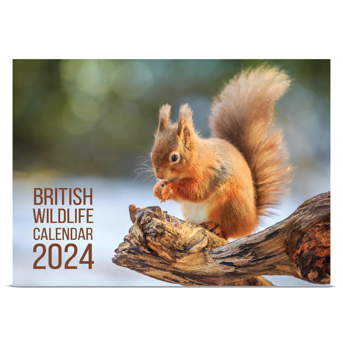 A4 UK Wildlife Calendar 2024 Month to View Features 12 High Resolution Images of UK Wildlife (2024)