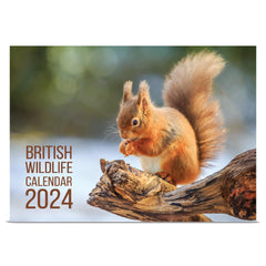 A4 UK Wildlife Calendar 2024 Month to View Features 12 High Resolution Images of UK Wildlife (2024)