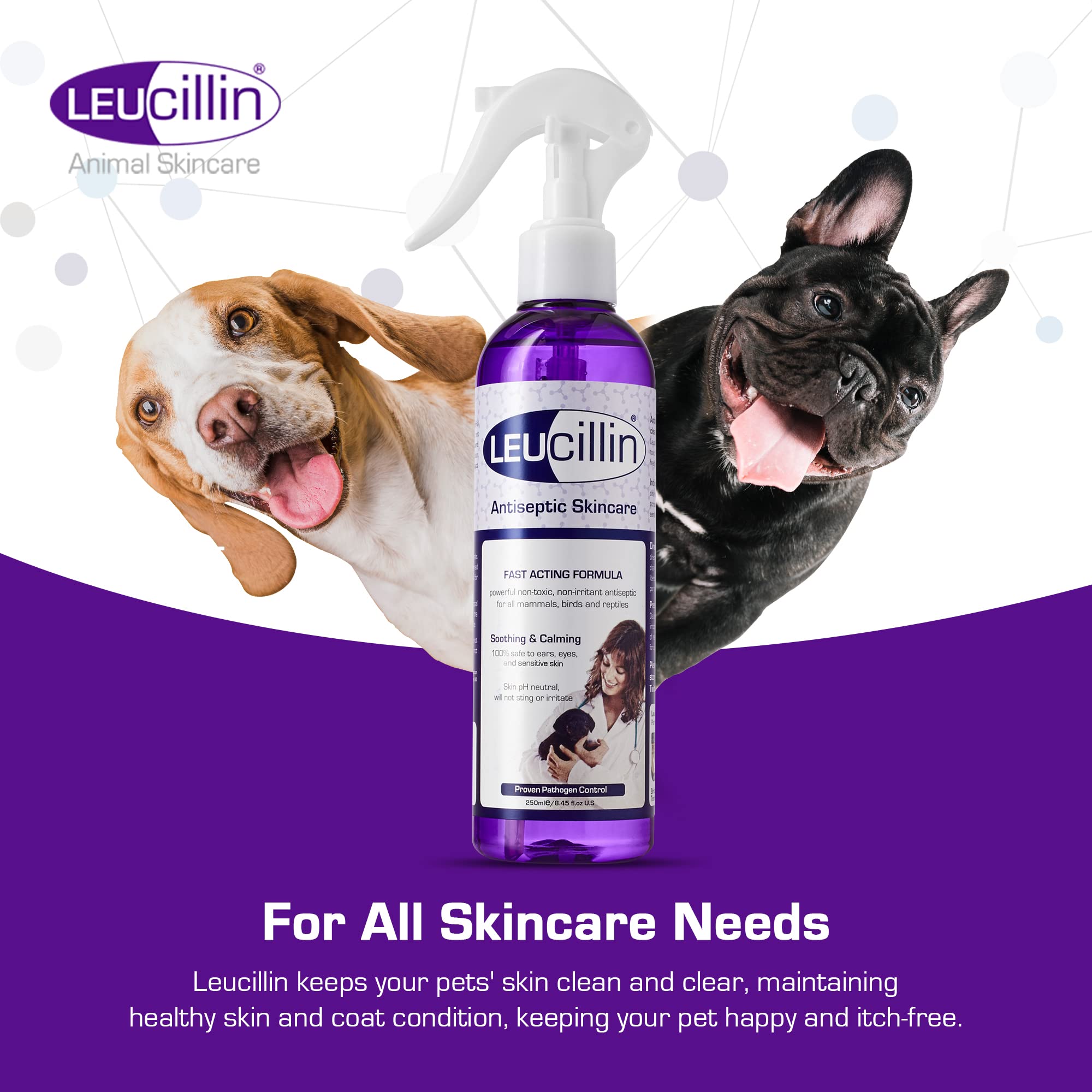 Leucillin Natural Antiseptic Spray - Antibacterial Antifungal Antiviral for Dogs Cats All Animals Itchy Skin Minor Wound Care and Skin Health   150ml