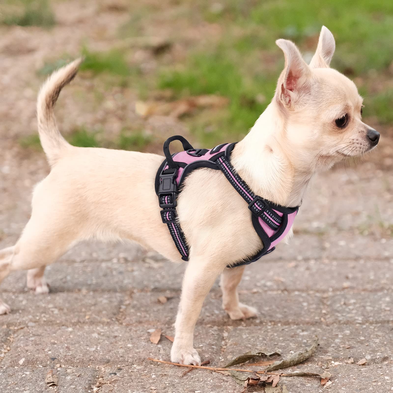 rabbitgoo Dog Harness Small Dog No Pull Pet Harness with 2 Leash Clips, Adjustable Soft Padded Pet Vest Harness, Reflective No-Choke with Easy Control Handle for Training or Walking, Pink, XS