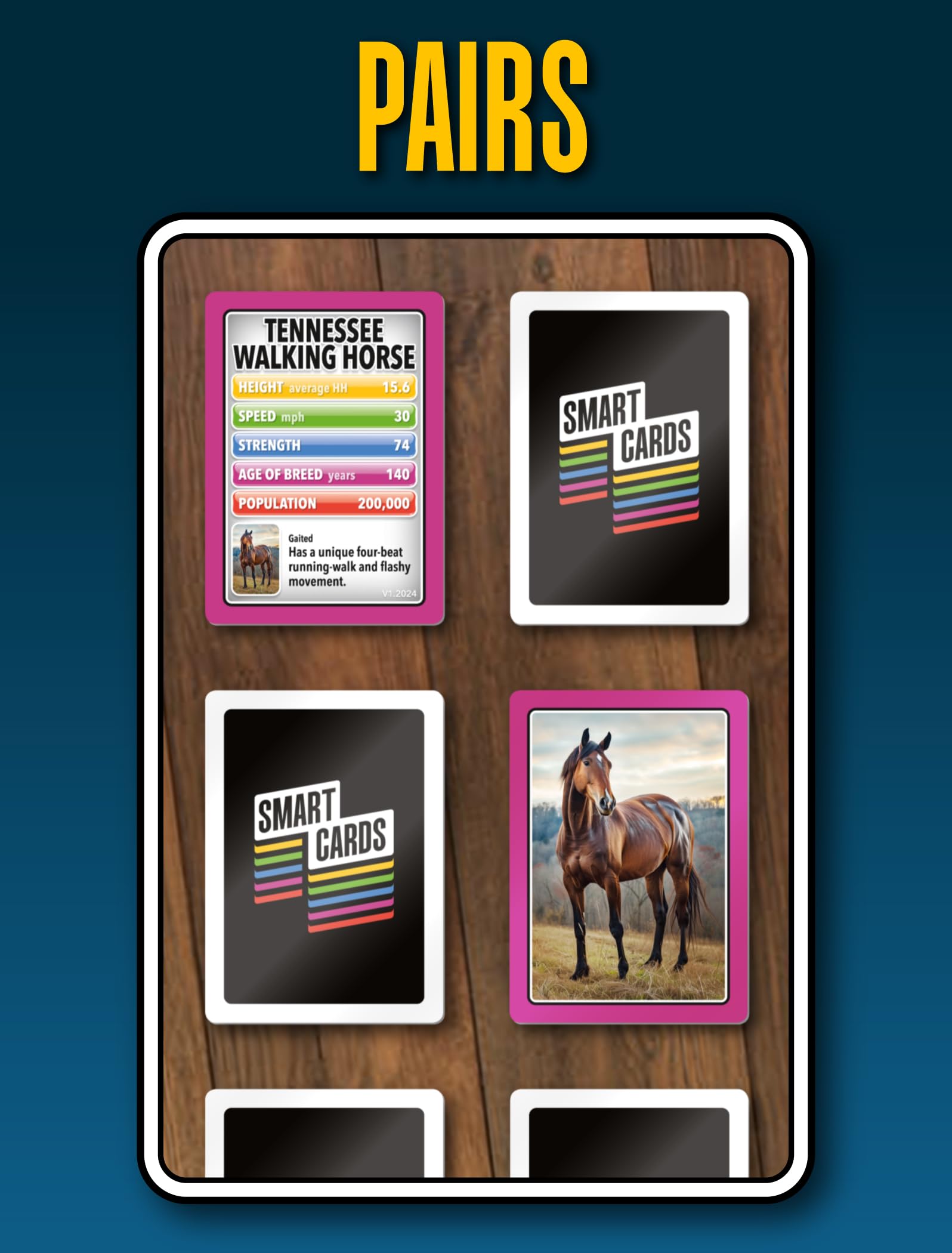 100 PICS Smart Cards Horses & Ponies, 7 games in 1, Pairs, Snap, Trumps, Rummy, Memory Quiz, Learn Facts, Travel Game, Gift, Stocking Filler, Age 5and, 1-8 Players