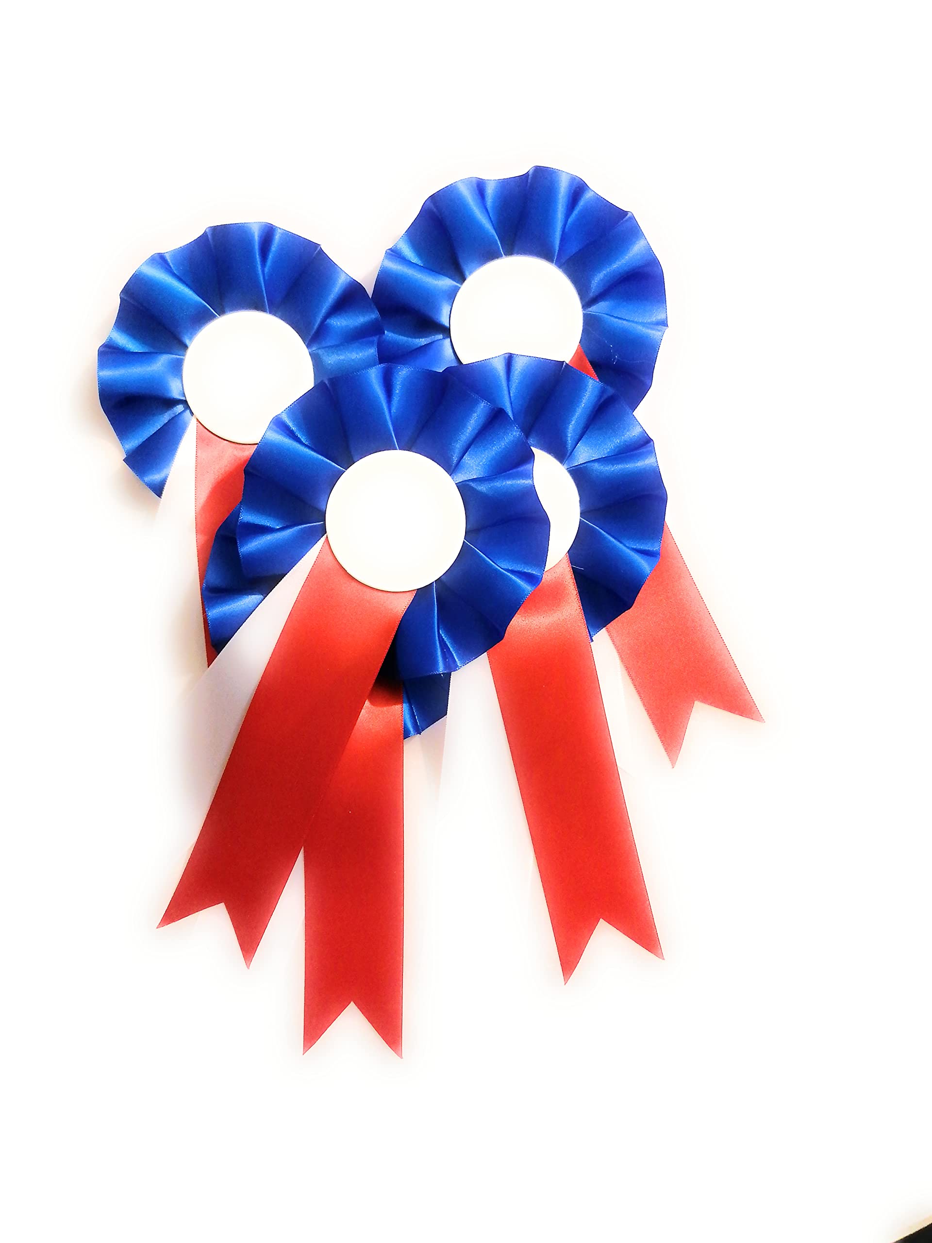 10 X Blank Rosettes In Top Quality Satin Red Blue White Rosette Pins School Prizes Sports Celebration Sport Prizes School Competitions Funerals Birthdays Occasions School Awards Sporting Awards Pin