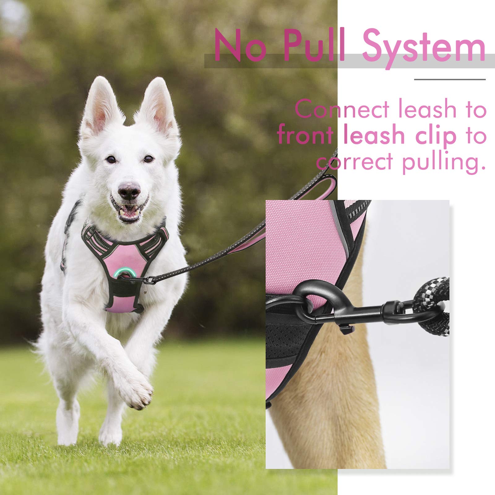 rabbitgoo Dog Harness Small Dog No Pull Pet Harness with 2 Leash Clips, Adjustable Soft Padded Pet Vest Harness, Reflective No-Choke with Easy Control Handle for Training or Walking, Pink, XS